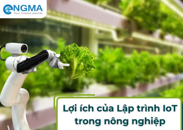 Ứng dụng lập trình IoT trong nông nghiệp hiện đại