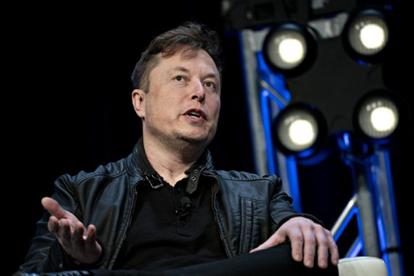 Công Ty Elon Musk Tiết Lộ Máy Tính Não Được Cấy Vào Lợn