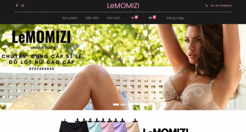 ERP QUẢN LÝ KHO - MUA BÁN HÀNG - TMĐT LEMOMIZI